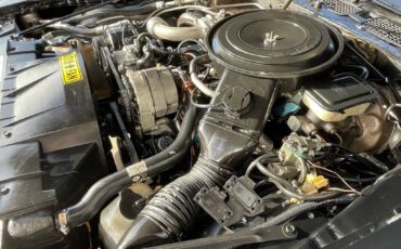 Pontiac-trans-am-1981-black-116