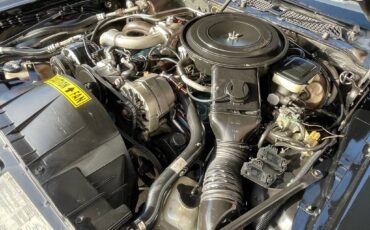 Pontiac-trans-am-1981-black-126