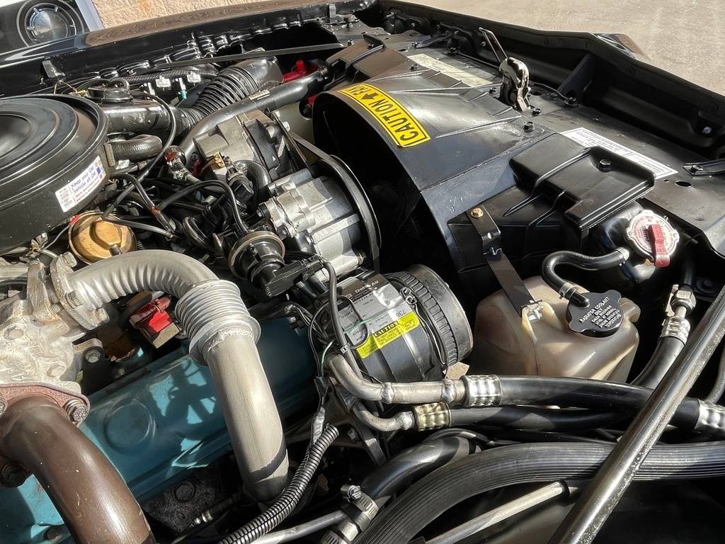 Pontiac-trans-am-1981-black-130