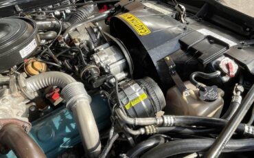 Pontiac-trans-am-1981-black-154