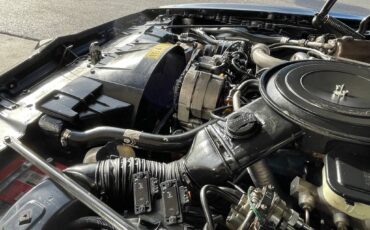 Pontiac-trans-am-1981-black-171