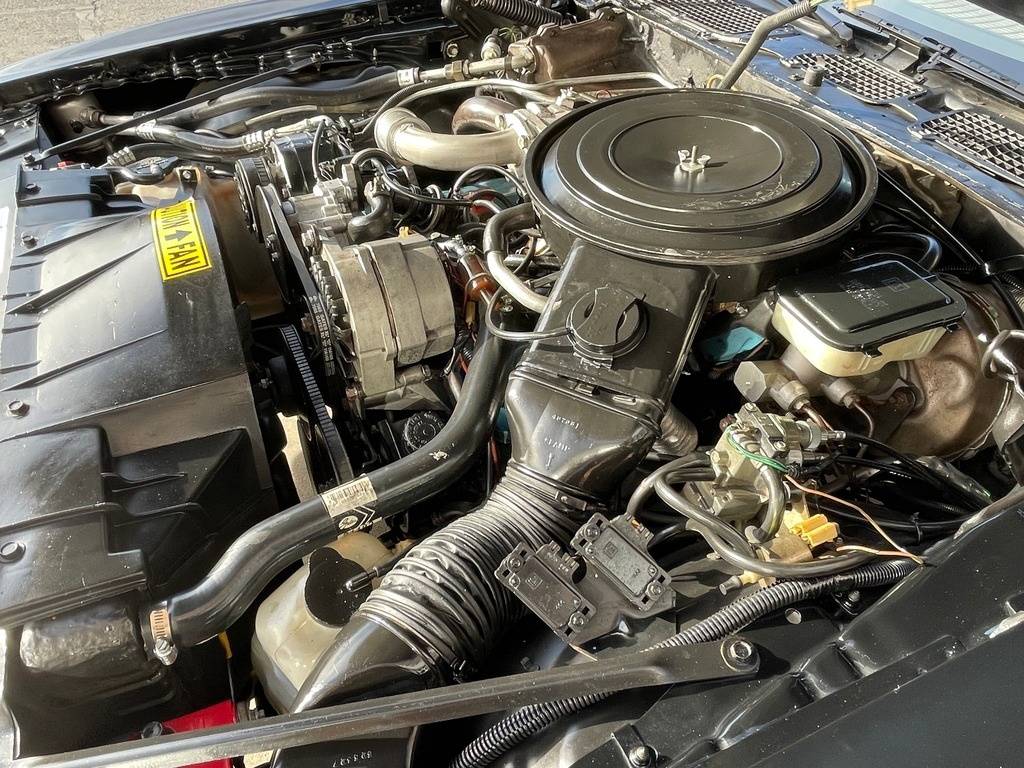 Pontiac-trans-am-1981-black-195