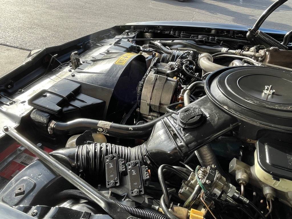 Pontiac-trans-am-1981-black-20