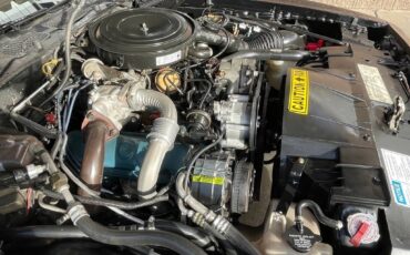 Pontiac-trans-am-1981-black-214