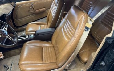 Pontiac-trans-am-1981-black-226