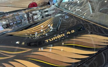 Pontiac-trans-am-1981-black-250