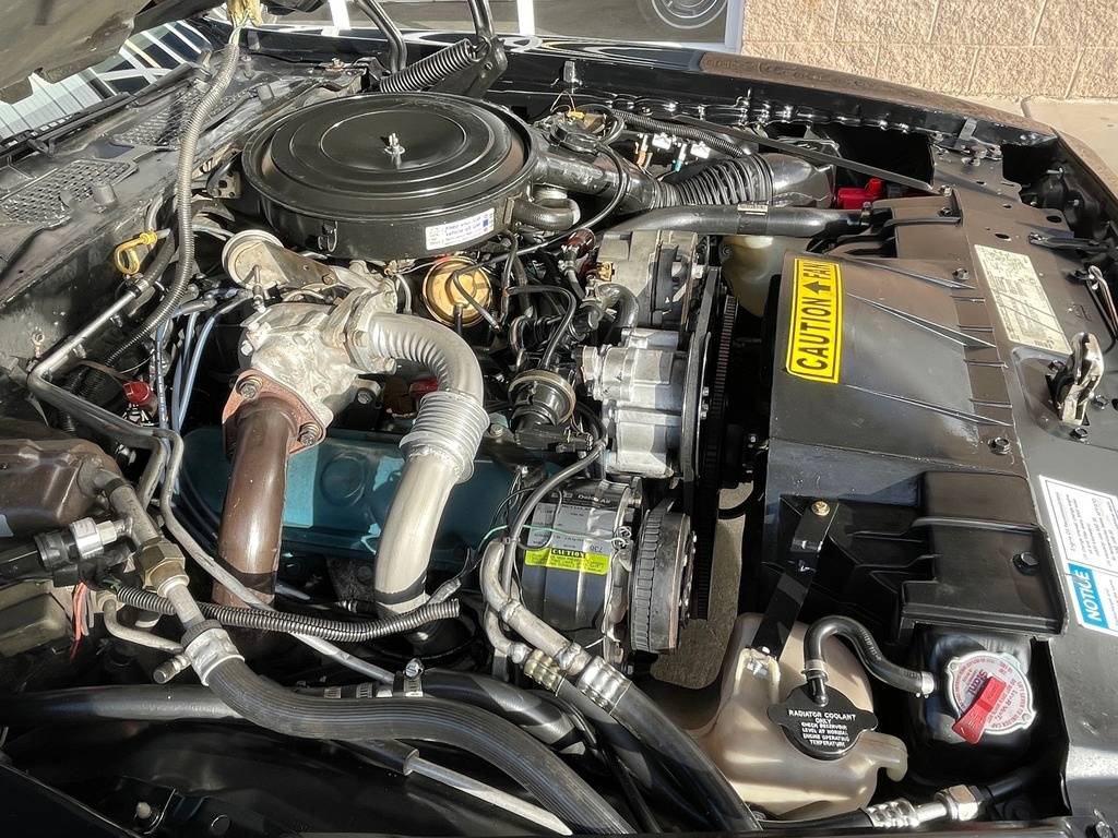 Pontiac-trans-am-1981-black-260