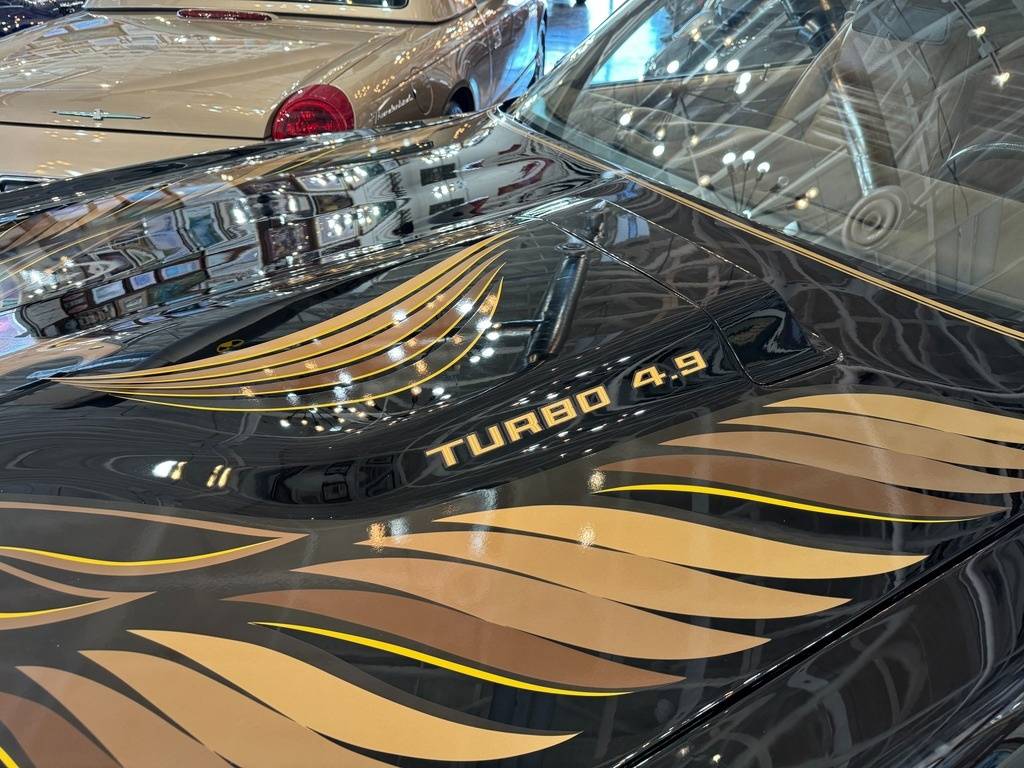 Pontiac-trans-am-1981-black-38