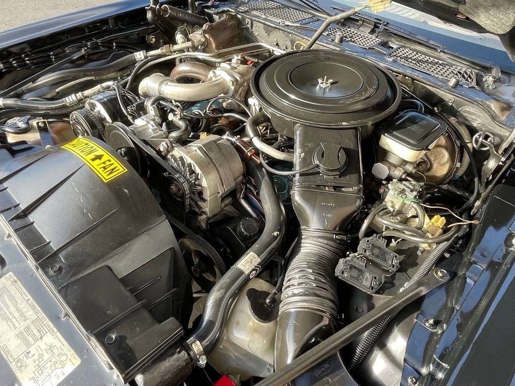 Pontiac-trans-am-1981-black-43