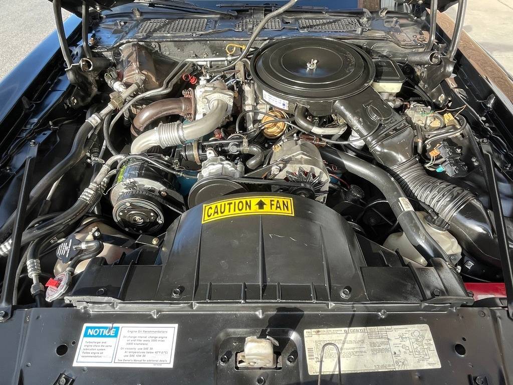 Pontiac-trans-am-1981-black-74