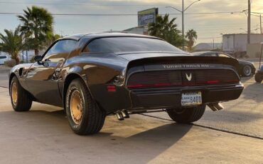 Pontiac-trans-am-1981-black-93