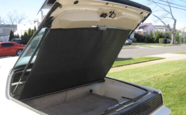 Pontiac-trans-am-1983-1