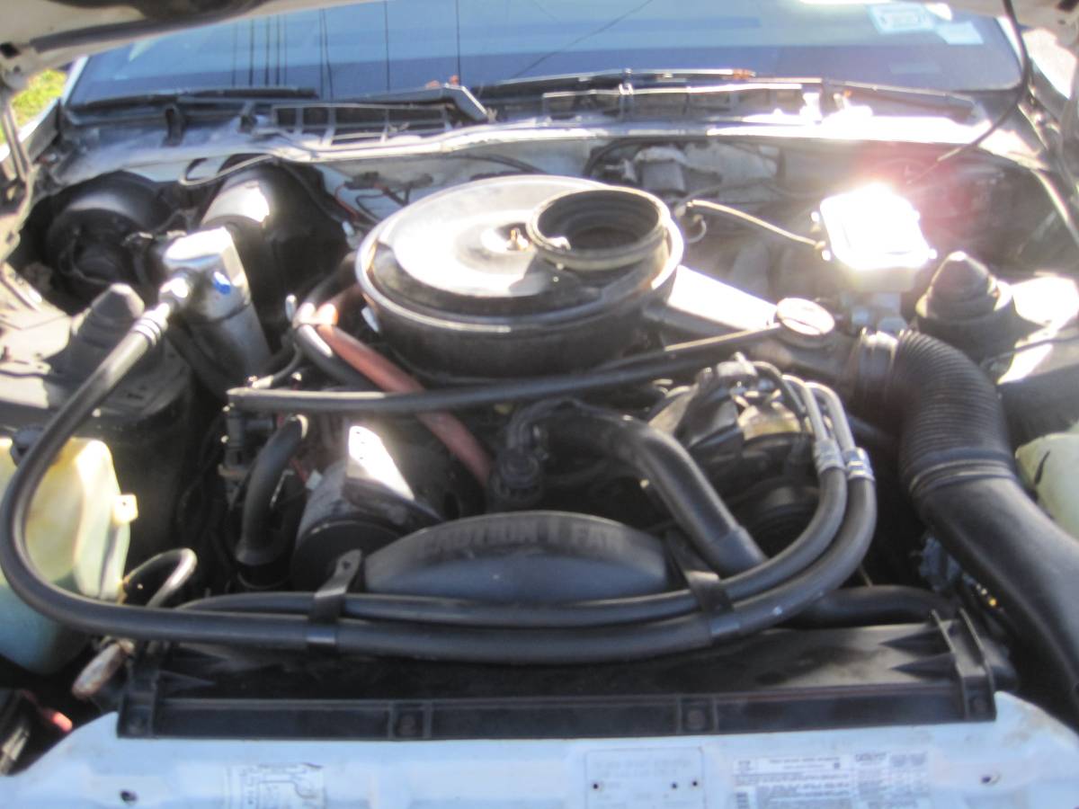 Pontiac-trans-am-1983-3