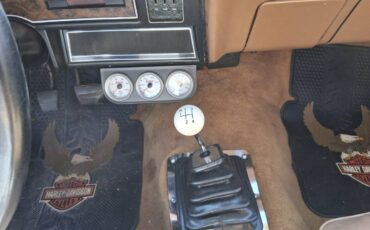 Pontiac-ventura-1976-red-17