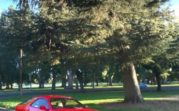 Porsche-928-1979-red-4