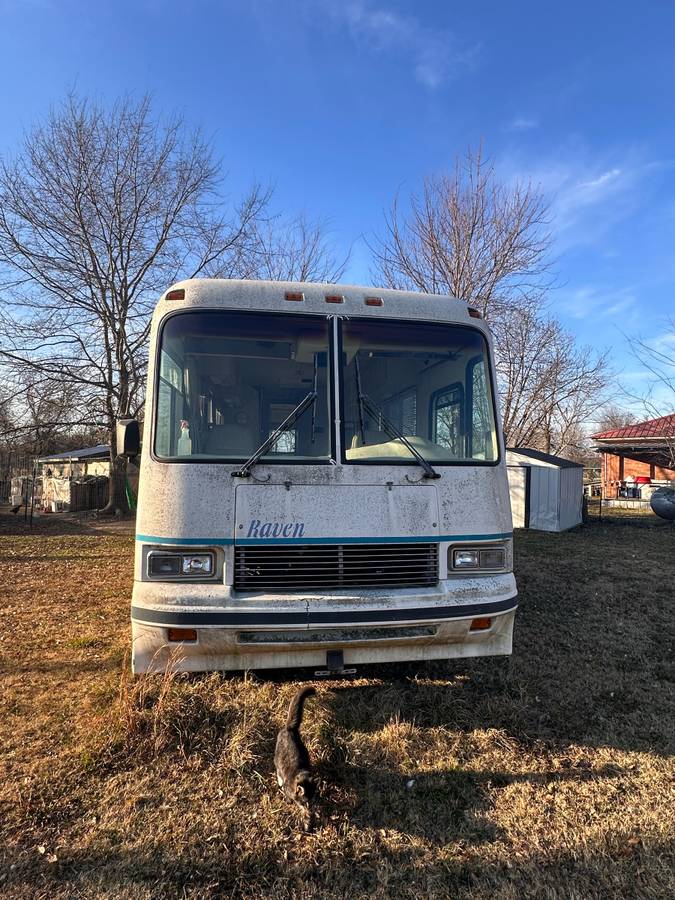 Raven-by-firan-1994-white-1