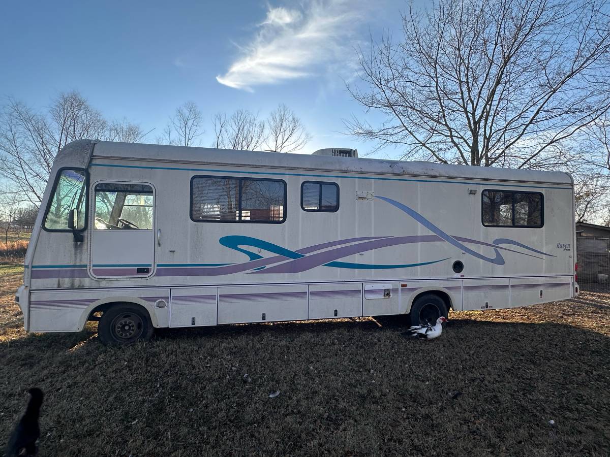 Raven-by-firan-1994-white-4