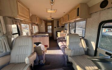 Raven-by-firan-1994-white-6