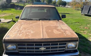 S-10-pickup-s-10-blazer-1984-1