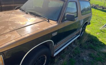 S-10-pickup-s-10-blazer-1984-2