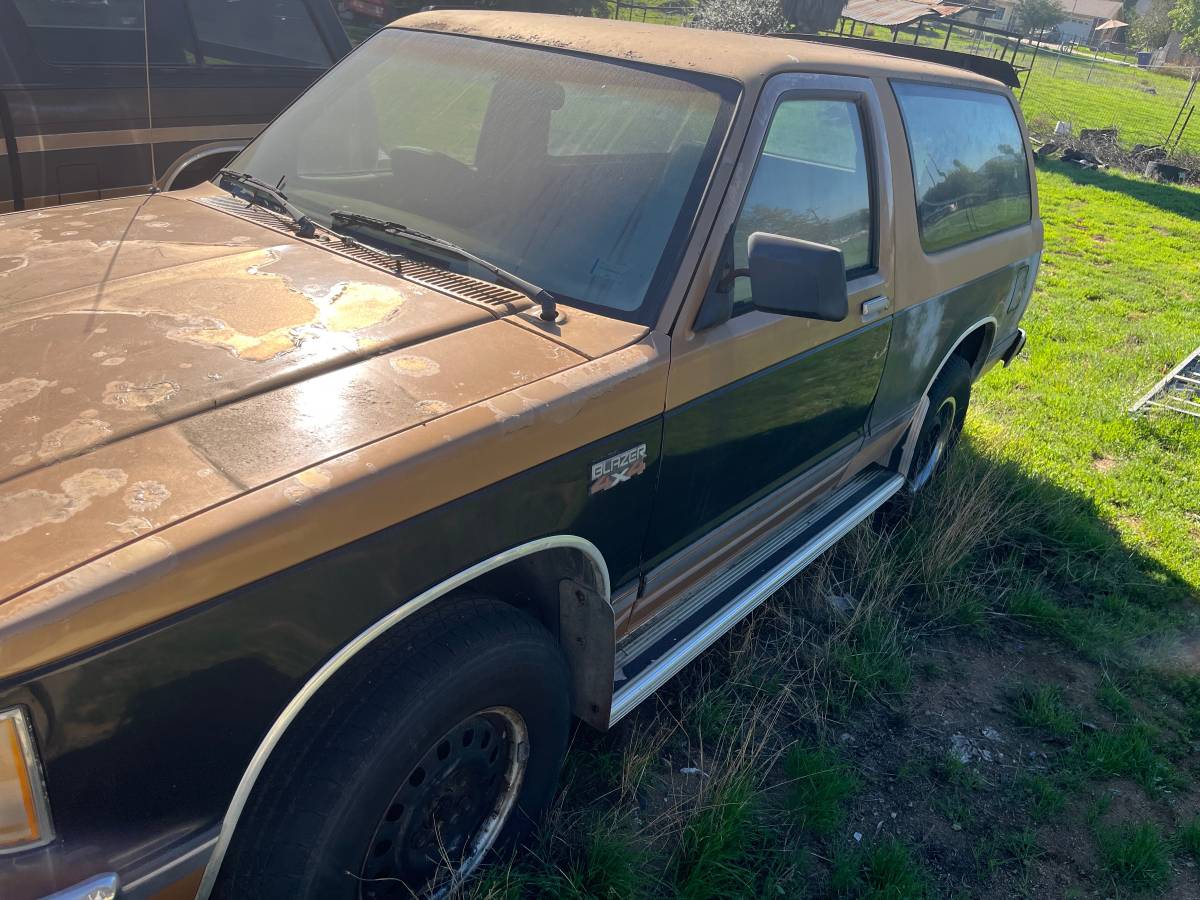 S-10-pickup-s-10-blazer-1984-2