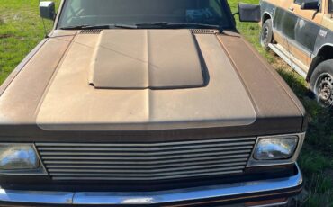 S-10-pickup-s-10-blazer-1984-3