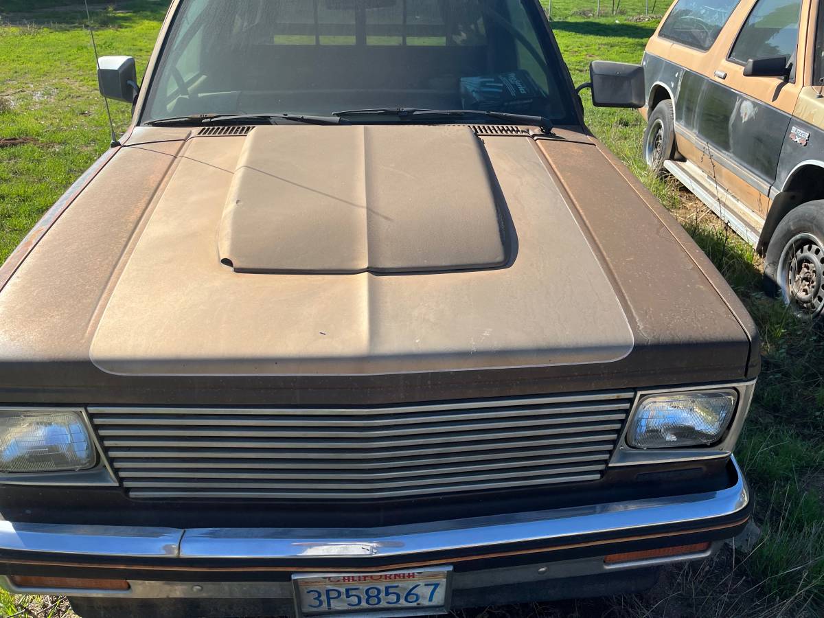 S-10-pickup-s-10-blazer-1984-3
