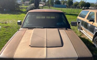 S-10-pickup-s-10-blazer-1984-4