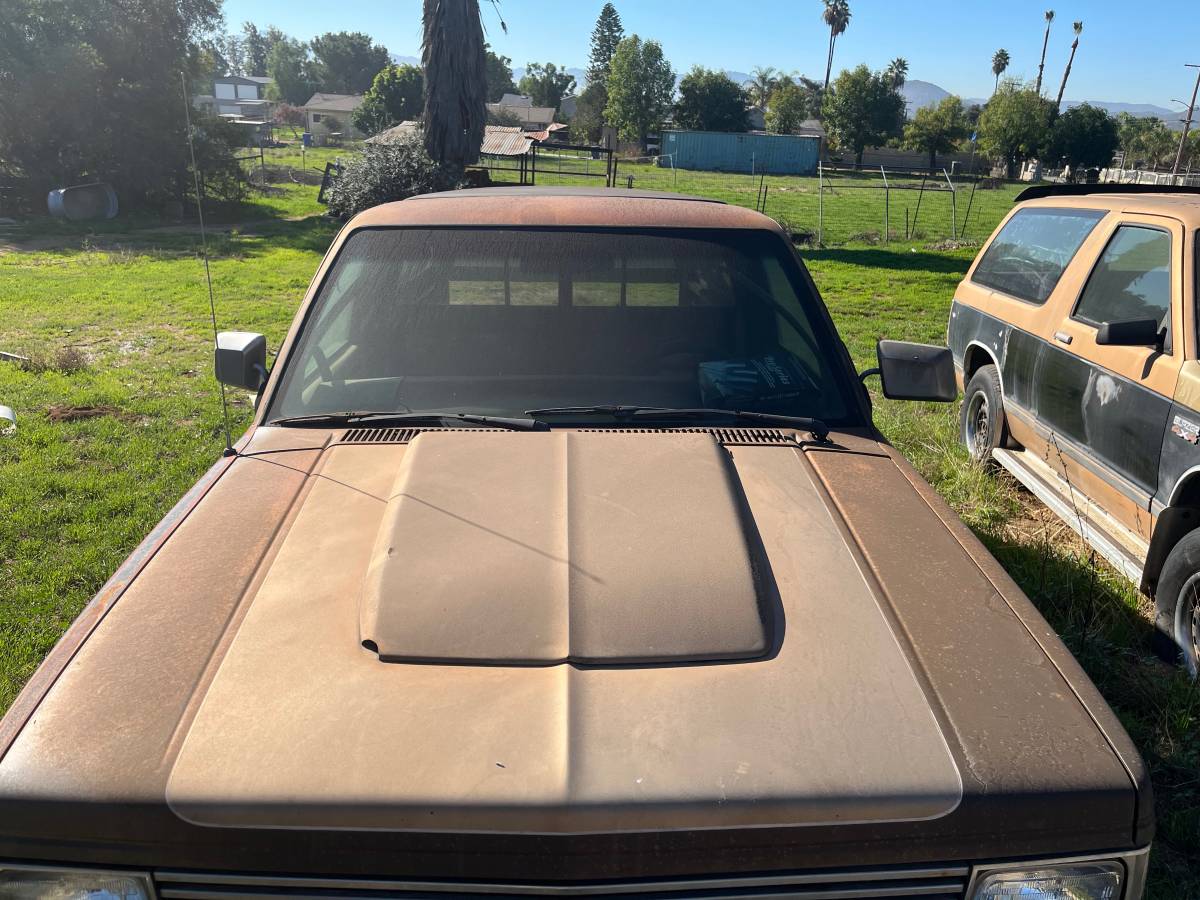 S-10-pickup-s-10-blazer-1984-4