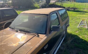 S-10-pickup-s-10-blazer-1984-6