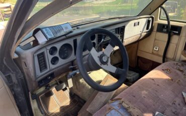 S-10-pickup-s-10-blazer-1984-7