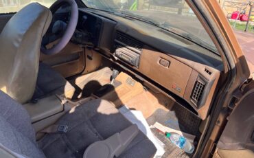 S-10-pickup-s-10-blazer-1984-8