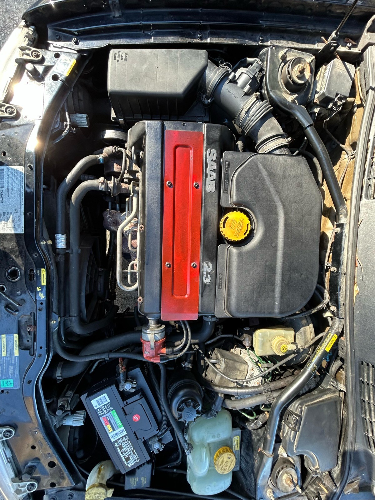 Saab-900-1995-Convertible-24