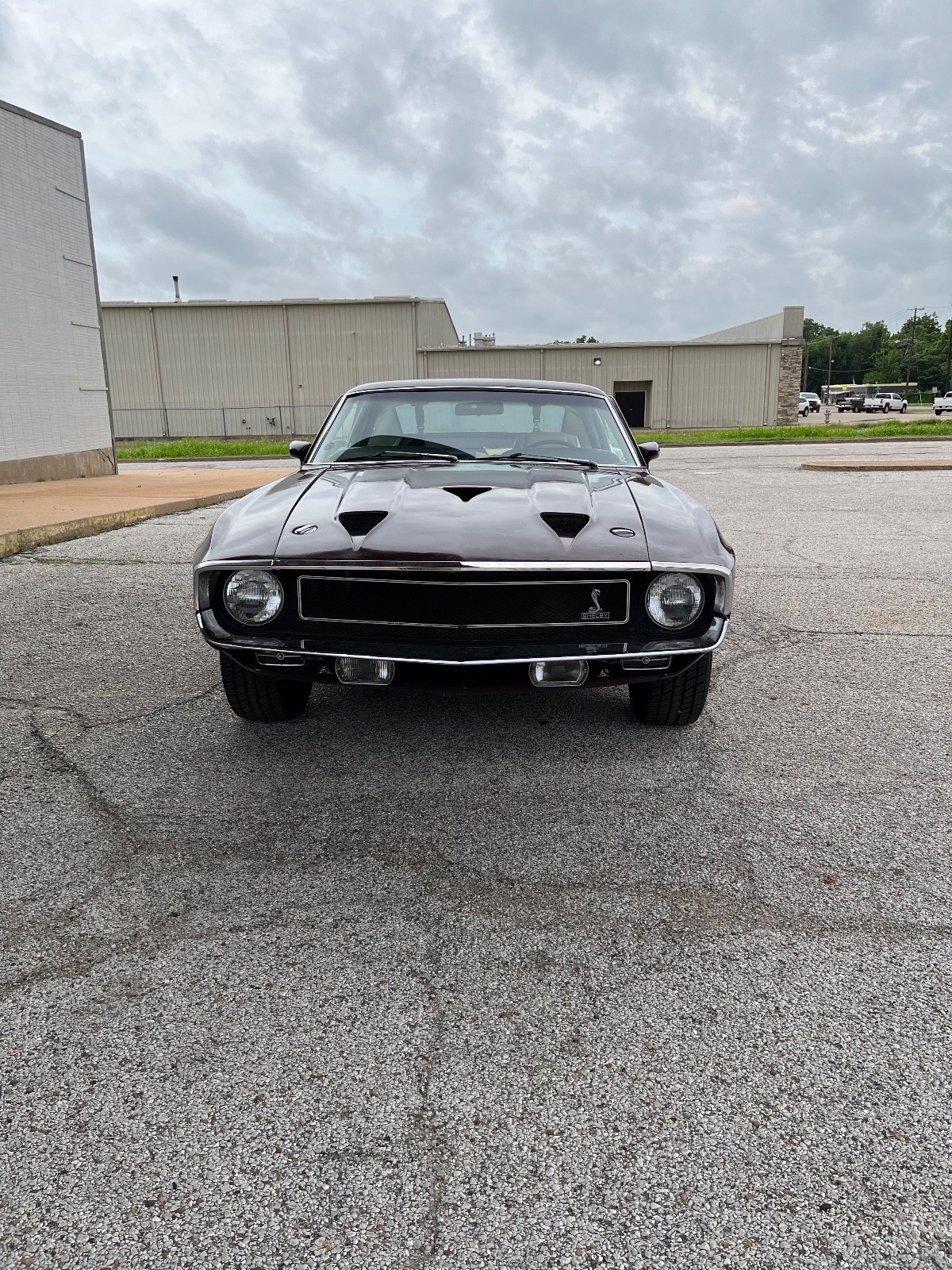 Shelby-Shelby-GT500-1969-Coupe-1