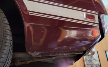 Shelby-Shelby-GT500-1969-Coupe-14