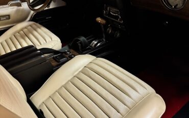 Shelby-Shelby-GT500-1969-Coupe-18