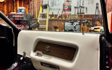 Shelby-Shelby-GT500-1969-Coupe-19