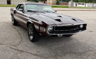 Shelby-Shelby-GT500-1969-Coupe-2