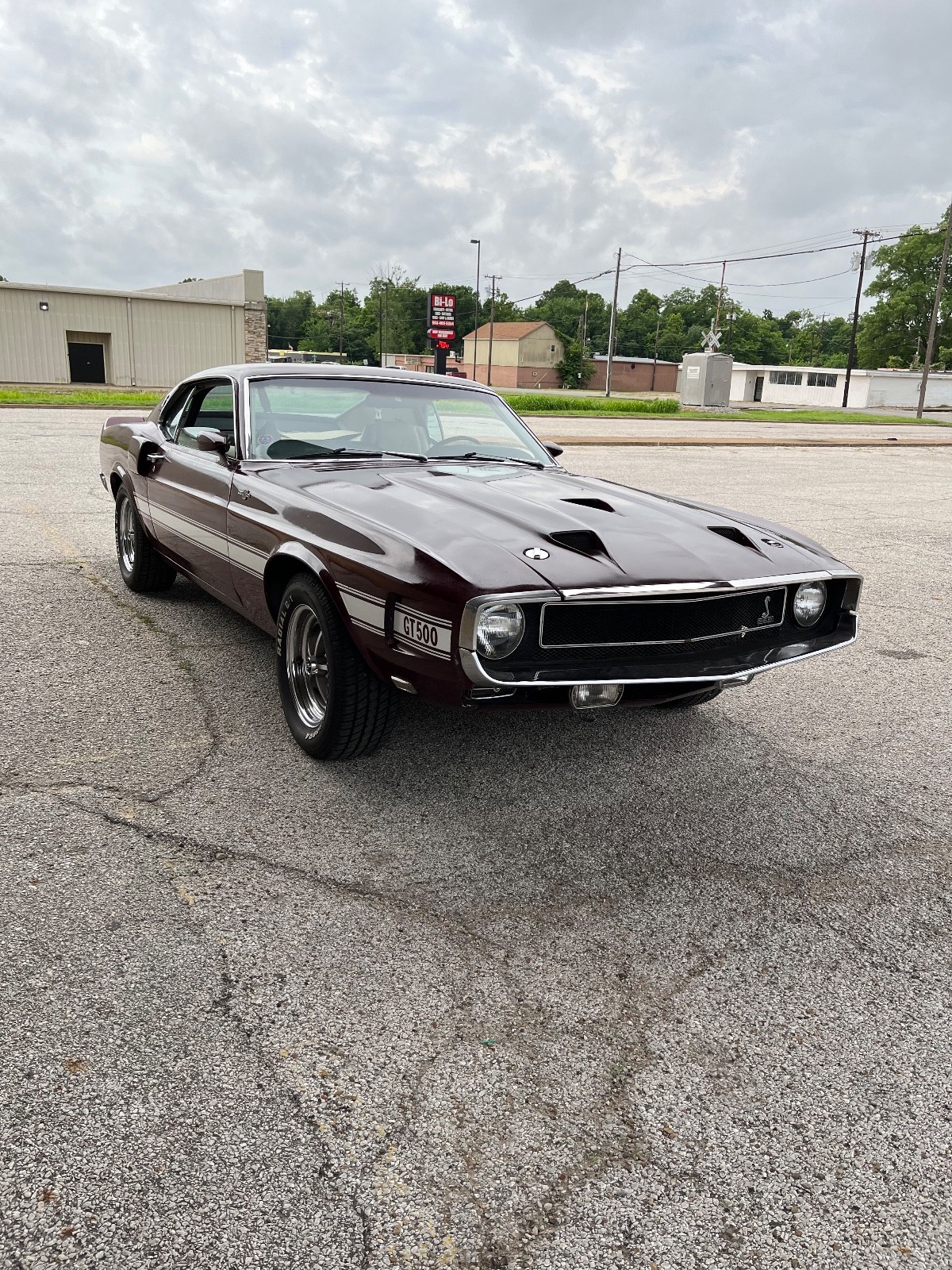 Shelby-Shelby-GT500-1969-Coupe-2