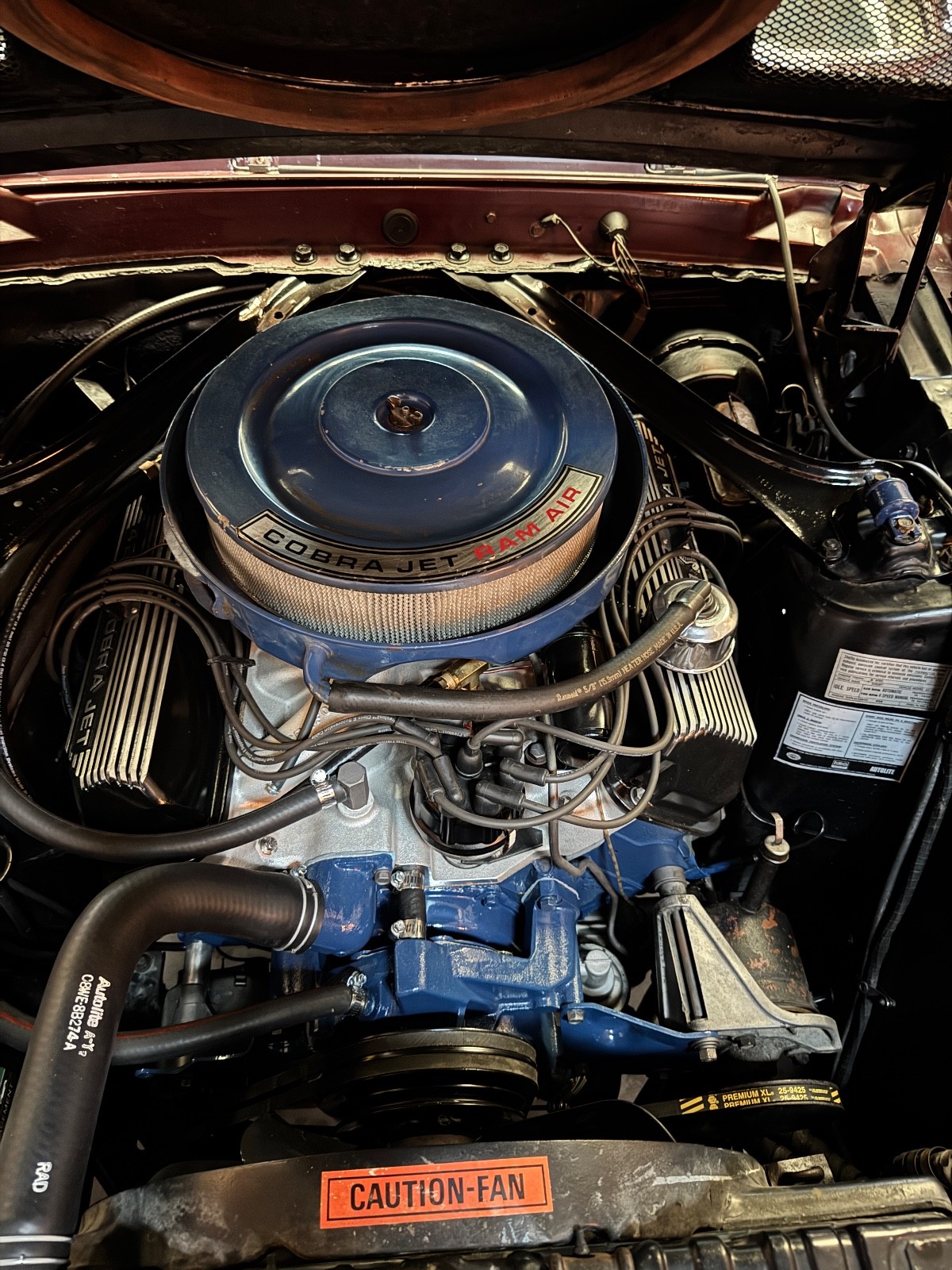 Shelby-Shelby-GT500-1969-Coupe-29