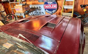 Shelby-Shelby-GT500-1969-Coupe-30