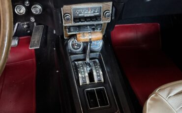 Shelby-Shelby-GT500-1969-Coupe-32