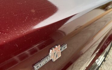 Shelby-Shelby-GT500-1969-Coupe-6