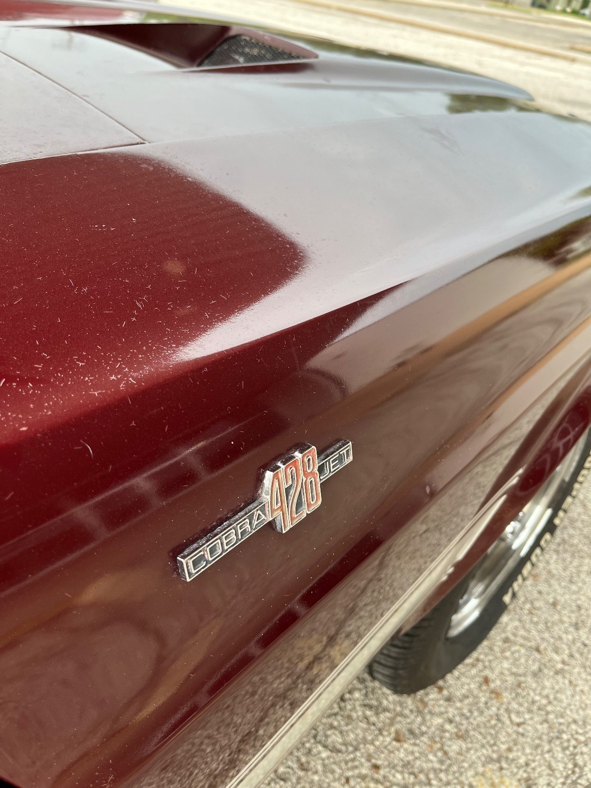 Shelby-Shelby-GT500-1969-Coupe-6