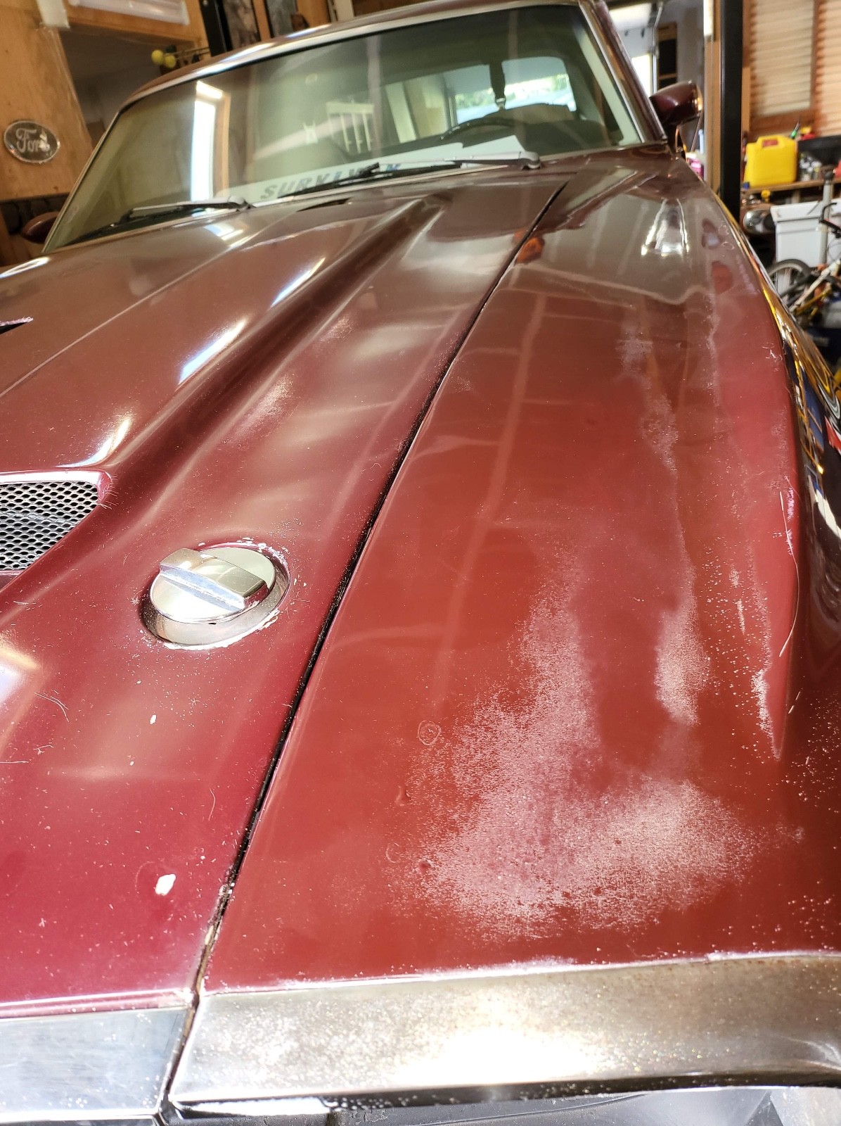 Shelby-Shelby-GT500-1969-Coupe-7