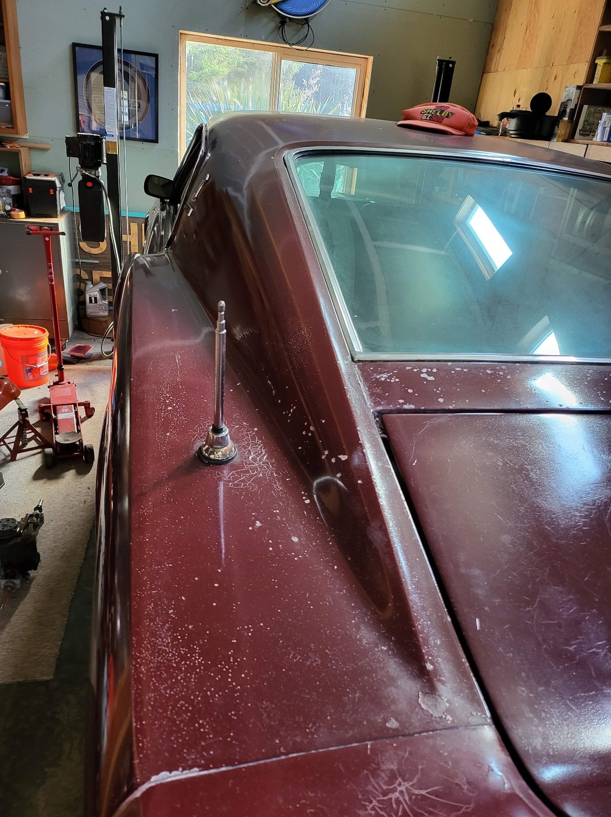 Shelby-Shelby-GT500-1969-Coupe-8