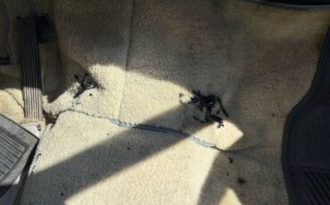 Studebaker-champion-1950-blue-13