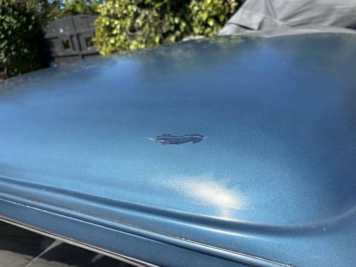 Studebaker-champion-1950-blue-2