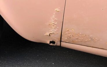 Studebaker-lark-1959-custom-5