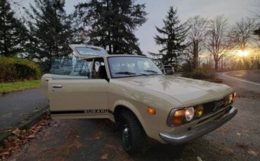 Subaru-dl-wagon-4x4-1979-brown-1